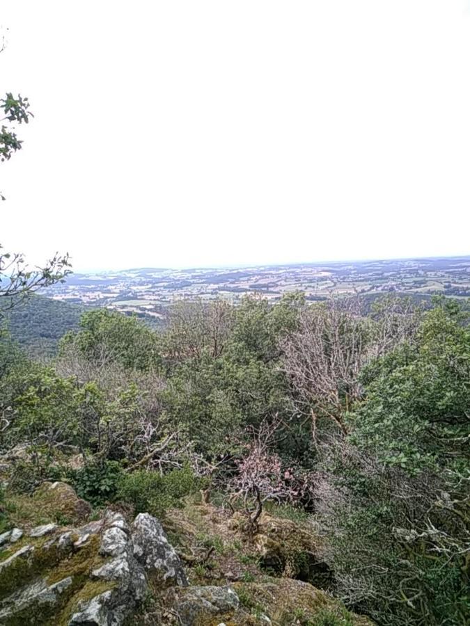 Camping La Foret Du Morvan Larochemillay Exteriör bild