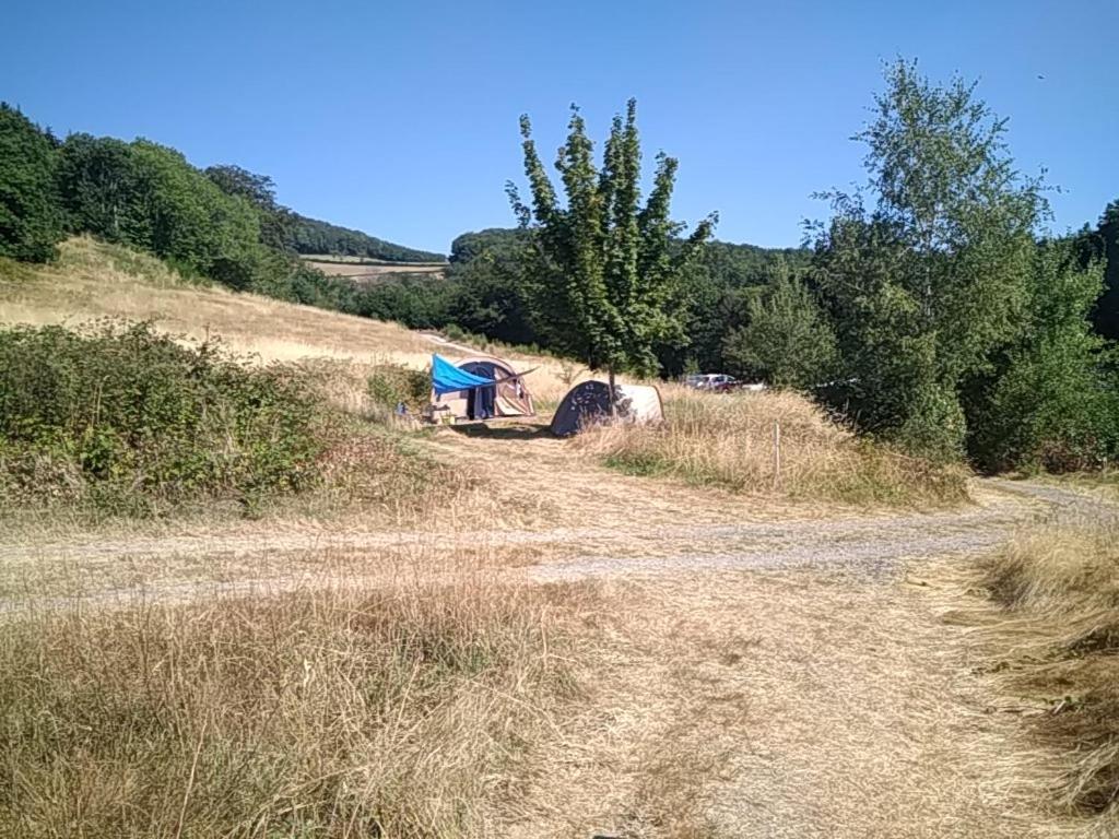 Camping La Foret Du Morvan Larochemillay Exteriör bild